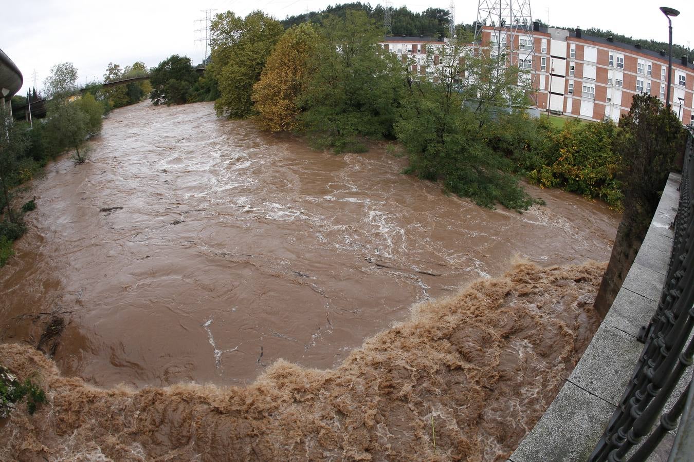 Imponente fuerza del río Besaya a su paso por el parque de La Viesca.