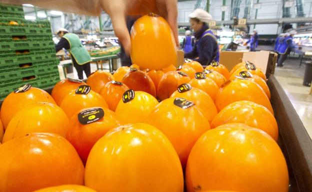 El caqui es una fruta tropical de color amarillo, anaranjado o púrpura y sabor muy dulce que se cultiva en toda España.