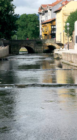 El río Ebro, a su paso por la localidad, con el puente de Carlos III.