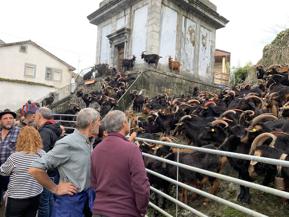 Fotos: Tradición arraigada en Arredondo