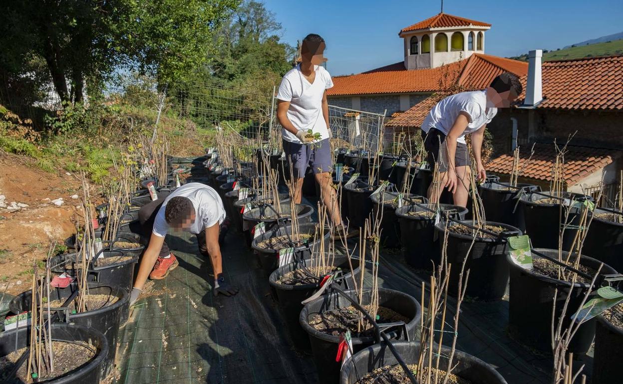 Un grupo de menores, trabajando en el huerto del centro de menores de la Fundación Cuin de Revilla.