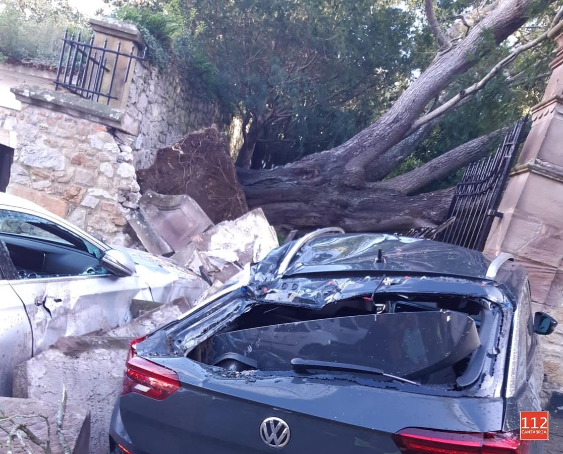 Un árbol de grandes dimensiones cayó sobre un muro y dos coches en Comillas.