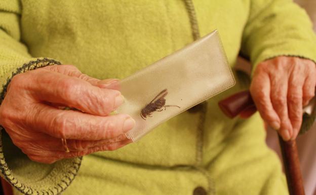 La mujer, con la avispa asiática que le picó metida en una bolsa.