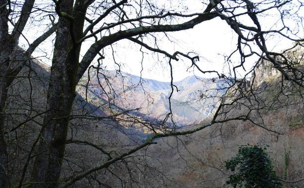 Hermosa ruta por el concejo de Piloña que regala múltiples cascadas y saltos de agua. 