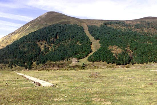 La casi totalidad del municipio se encuentra situado sobre el llamado 'piso montaña'