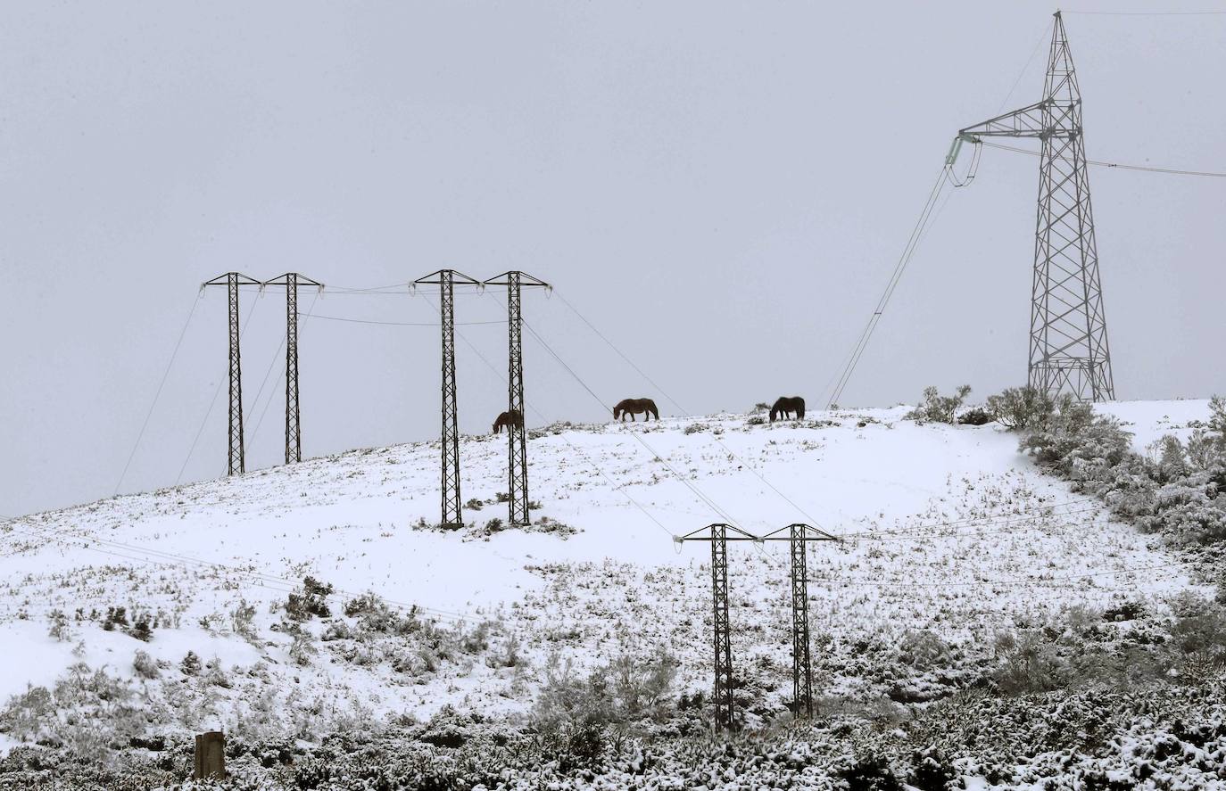 El frío y la nieve han dejado preciosas estampas en el parque nacional, un espacio de extraordinaria belleza en el que se diluyen las fronteras de Asturias, Cantabria y Castilla y León y que supera las 67.000 hectáreas