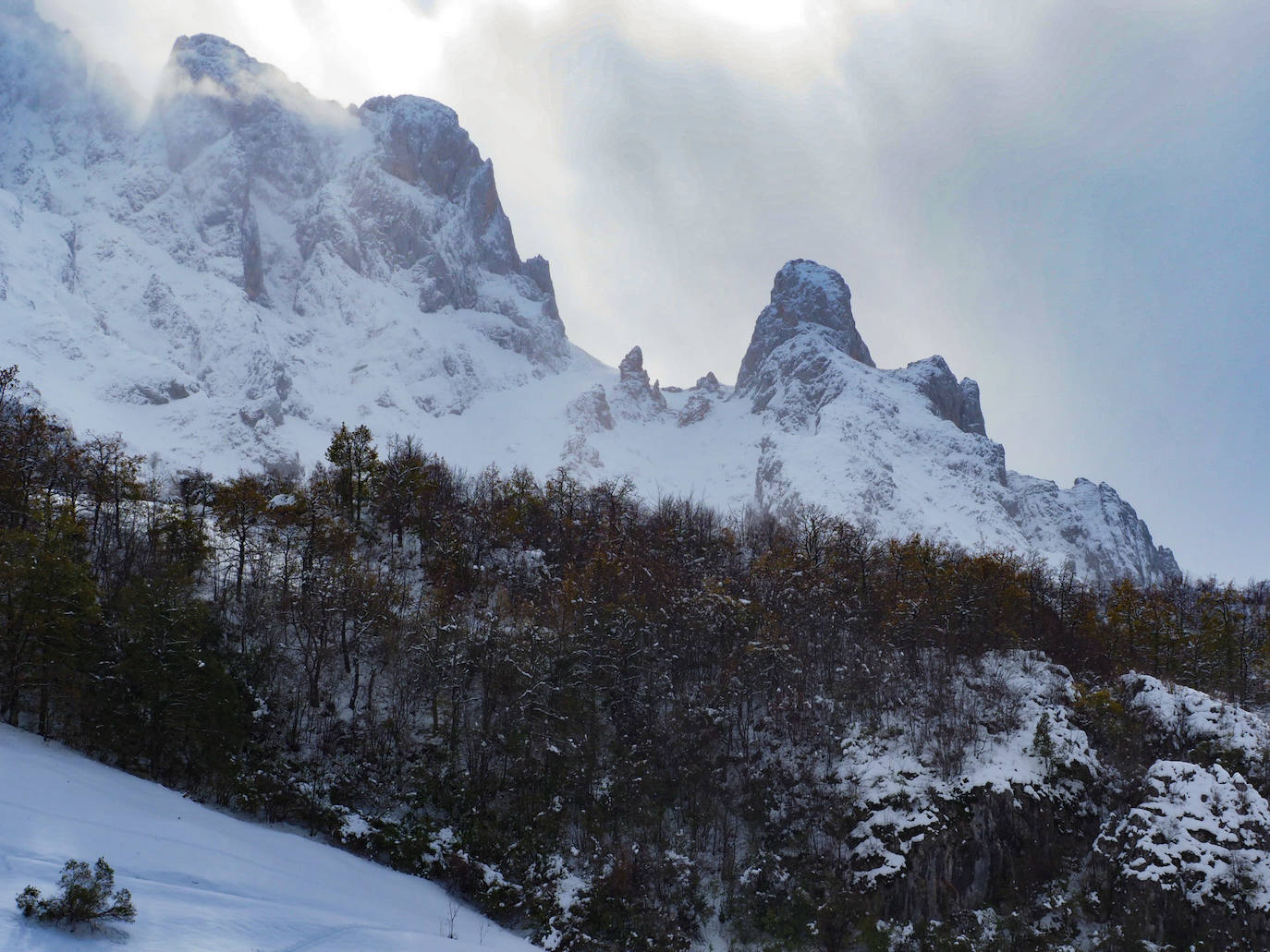 El frío y la nieve han dejado preciosas estampas en el parque nacional, un espacio de extraordinaria belleza en el que se diluyen las fronteras de Asturias, Cantabria y Castilla y León y que supera las 67.000 hectáreas