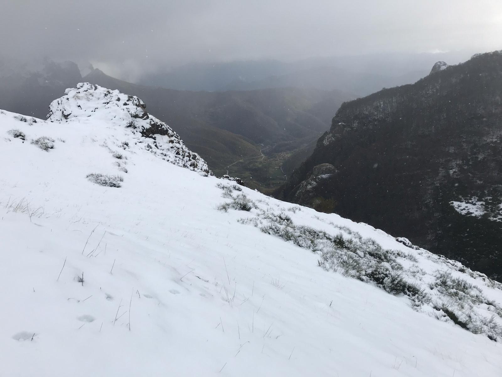 El frío y la nieve han dejado preciosas estampas en el parque nacional, un espacio de extraordinaria belleza en el que se diluyen las fronteras de Asturias, Cantabria y Castilla y León y que supera las 67.000 hectáreas