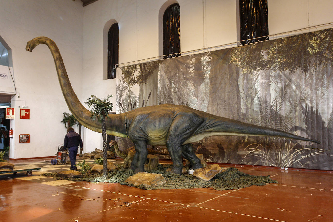 La exposición es un viaje al pasado que permitirá descubrir increíbles esqueletos, aterradores depredadores carnívoros y grandes herbívoros pacíficos