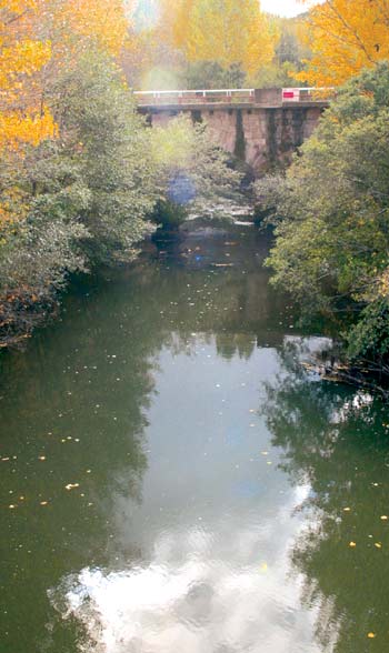 Río Ebro, a su paso por el municipio.