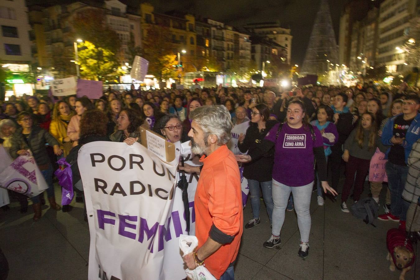 Centenares de personas se han echado a la calle en una manfiestación que ha recorrido el centro de la capital de Cantabria