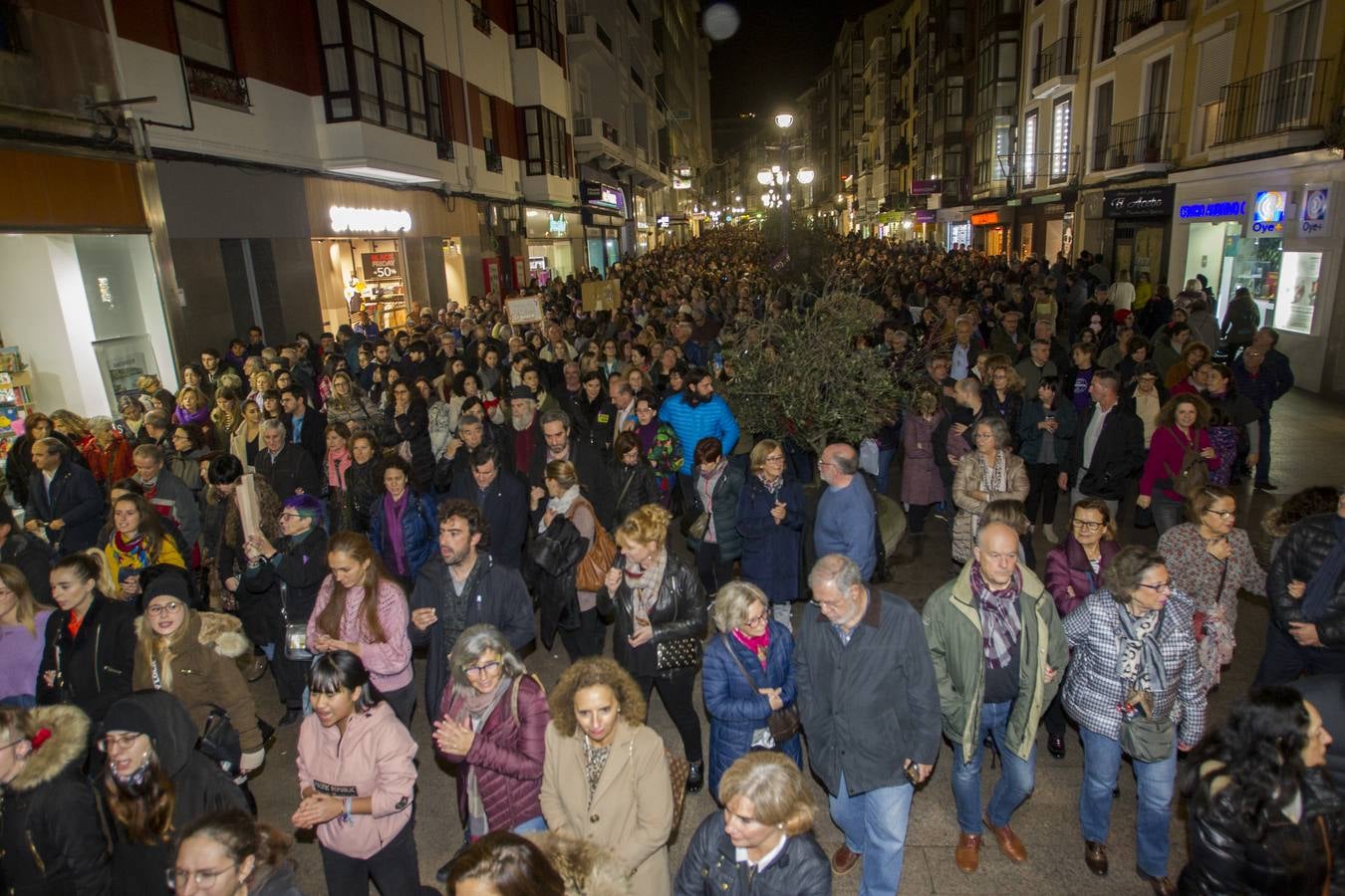 Centenares de personas se han echado a la calle en una manfiestación que ha recorrido el centro de la capital de Cantabria