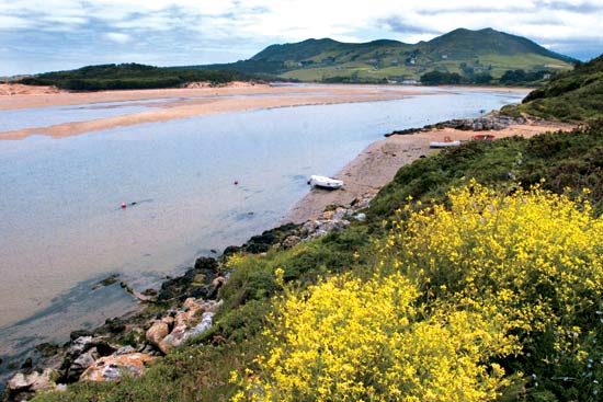 Imagen secundaria 1 - El litoral de Miengo está sembrado por pequeños islotes como la isla de los Conejos. Vista de la ría del Pas a su paso por Mogro. Acantilados en la línea de costa del municipio de Miengo.