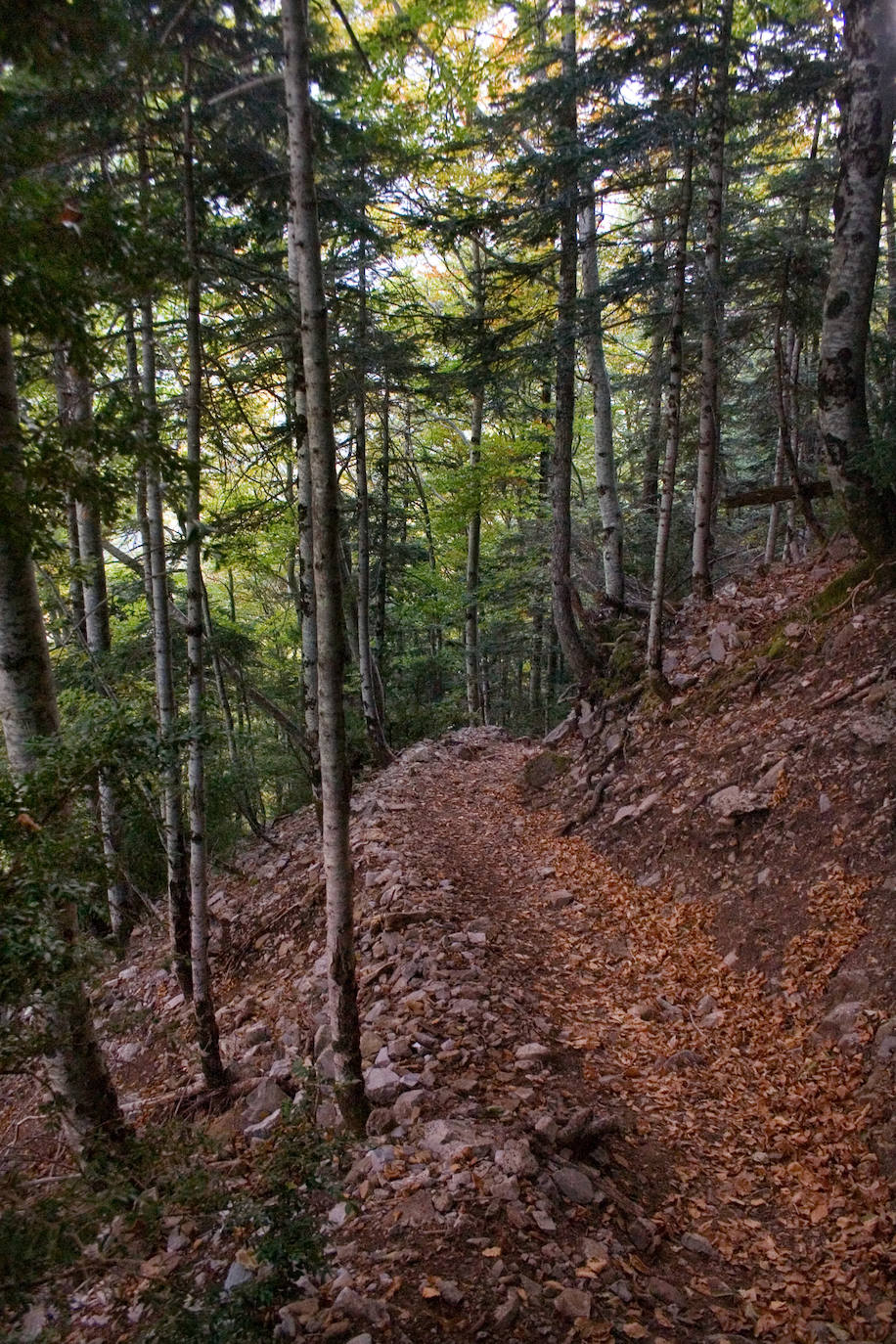 La ruta que parte de la pradera de Ordesa, asciende por la Senda de los cazadores y recorre el valle desde las alturas para llegar a la Cola del caballo permite disfrutar de un paisaje maravilloso. El regreso al punto inicial por el propio cañón es también de una enorme belleza como las gradas de Soaso