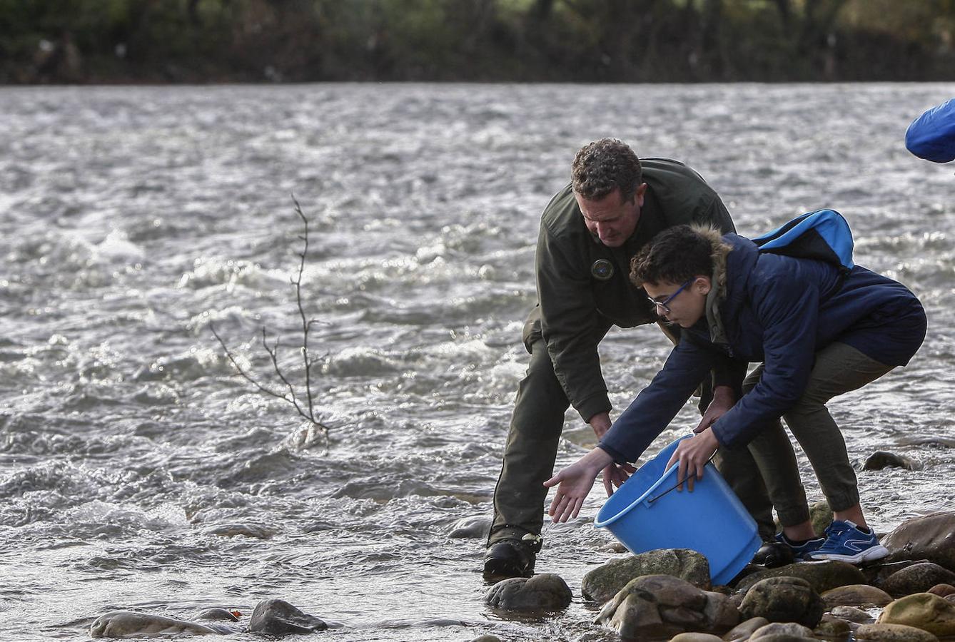 Alumnos del colegio San Agustín de Santander han colaborado en la suelta de salmones en el río Besaya.