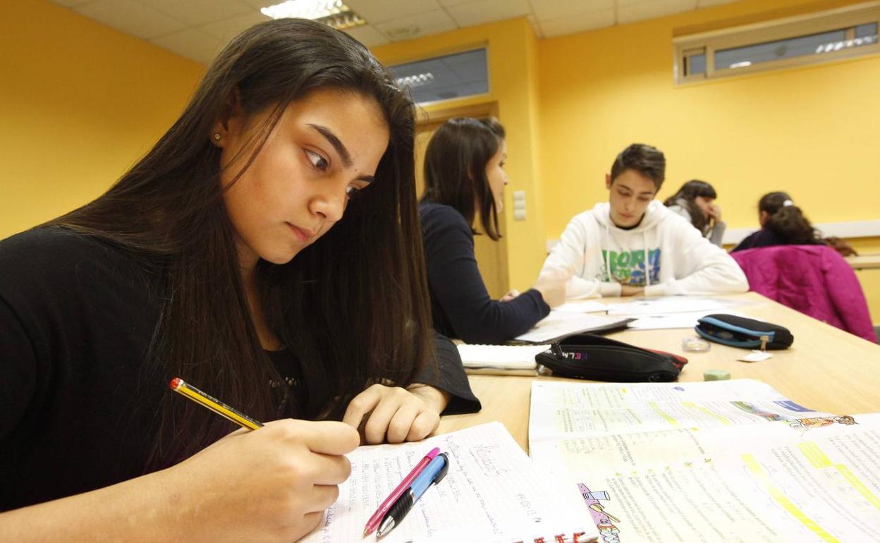 «El alumno gitano no tiene cerca muchos referentes. Trabajamos por cambiarlo»