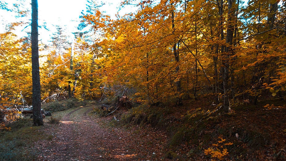 Camino hacia Ribera.