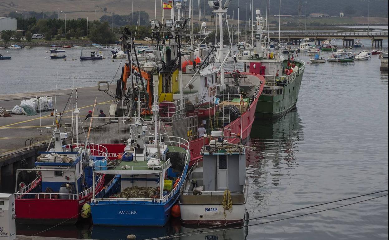 Barcos en el puerto pesquero de Santoña.