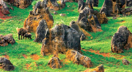 Recinto de los elefantes, en el Parque de la Naturaleza de Cabárceno.