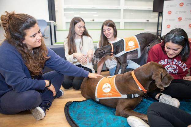 Grupo de estudiantes con los perros.