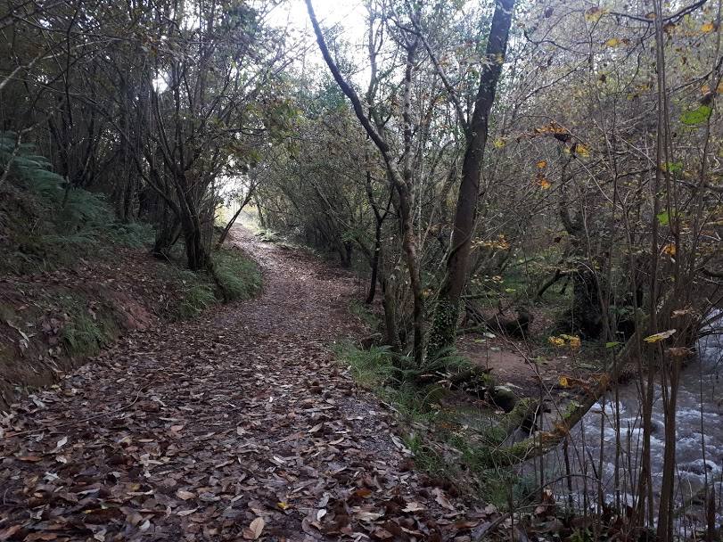 Este paseo por la comunidad vecina más rural nos reencontrará con lugares que fueron grandes centros de encuentro y una herramienta imprescindible para convertir el grano en harina