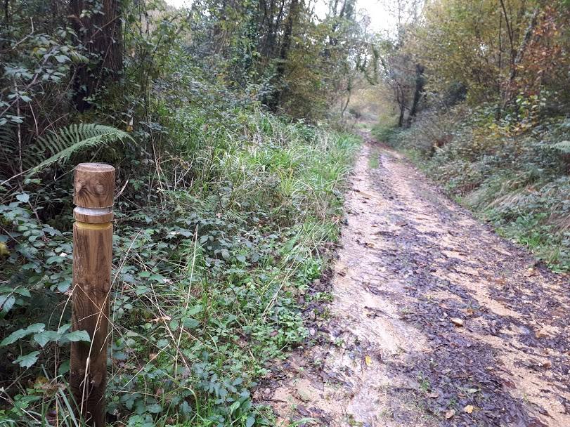 Este paseo por la comunidad vecina más rural nos reencontrará con lugares que fueron grandes centros de encuentro y una herramienta imprescindible para convertir el grano en harina