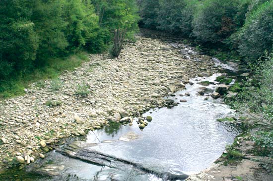 Río Pas, a su paso por el término municipal de Vega de Pas.