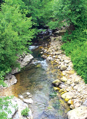 El río Magdalena, afluente del Pas, nace en el puerto del Escudo.