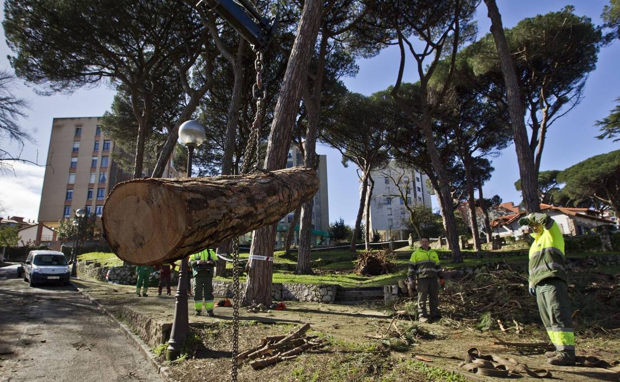 Casares pide «responsabilidades políticas» por el descontrol de Parques y Jardines