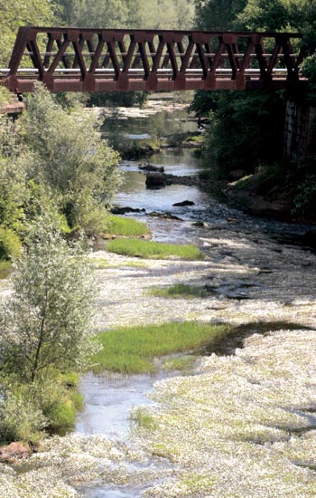 Río Miera a su paso por la localidad de Agüero.