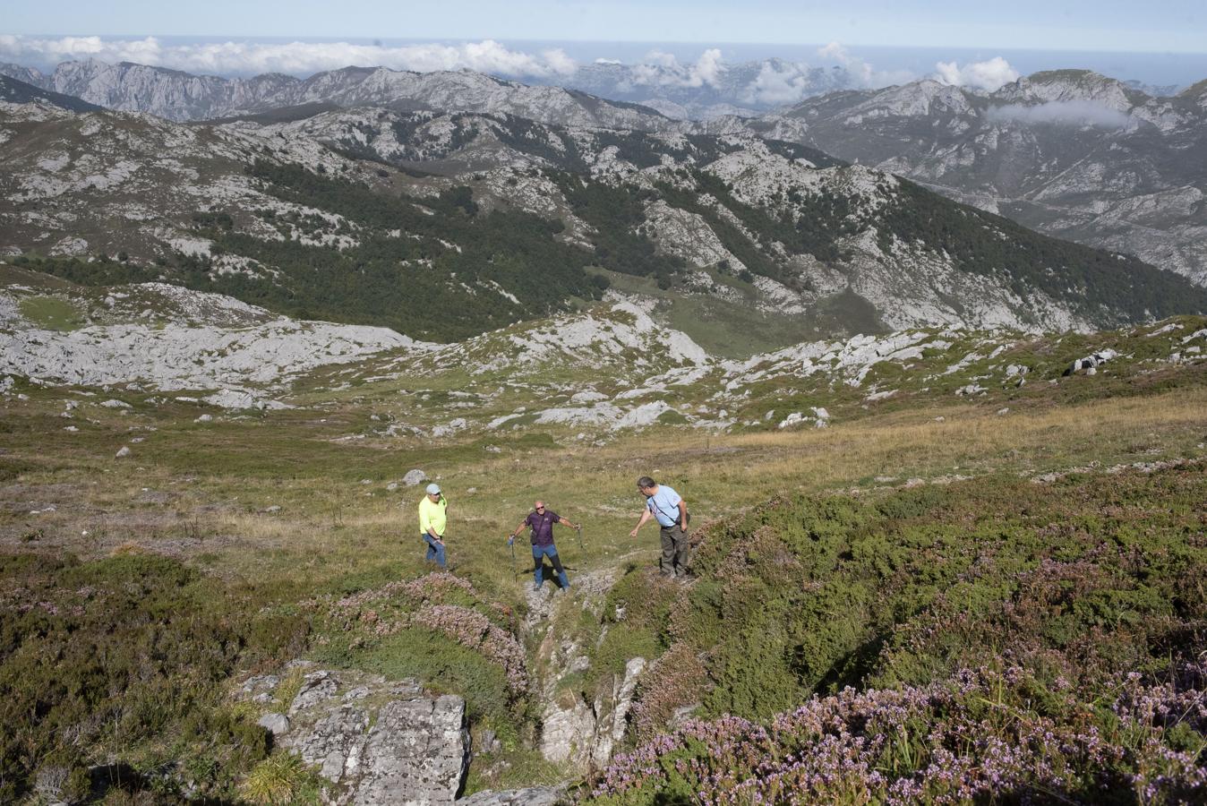 Los restos de Eloy Campillo, guarda en Picos de Europa y alcalde de barrio en Sotres (Asturias), desaparecido en 1945, aparecieron en La Topinoria, una torca entre riscos en terrenos de Cillorigo de Liébana. Las labores para la exhumación terminaron en octubre con elhallazgo del 90% de sus restos y el casquillo de una bala.