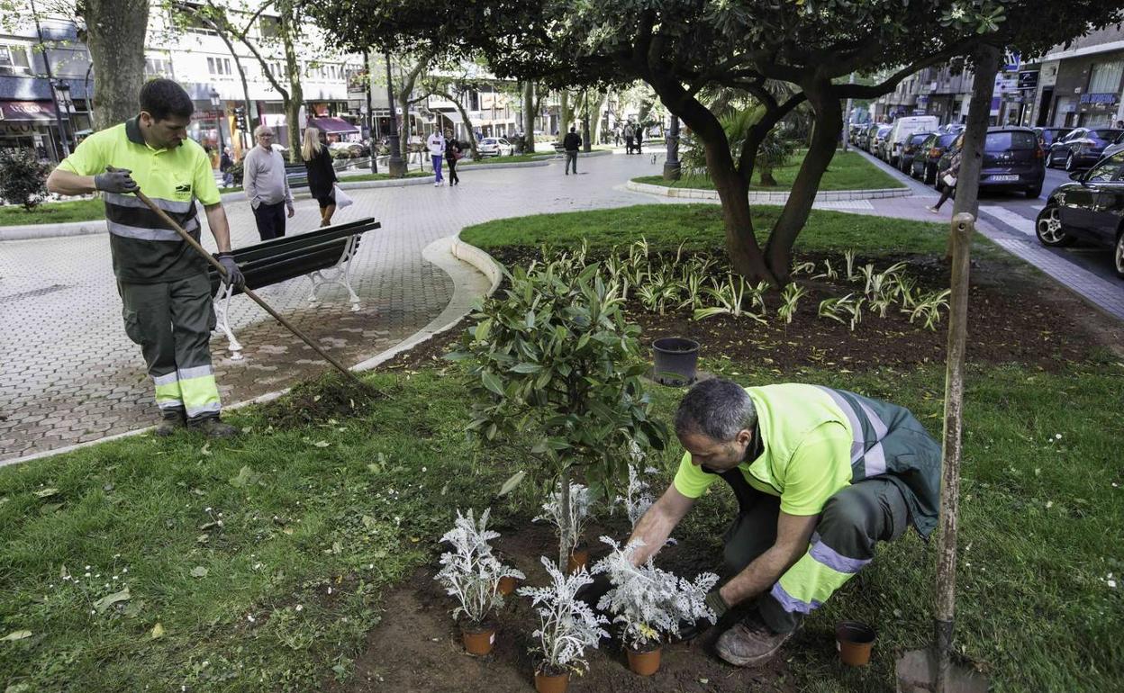 La directora de Medio Ambiente no comparecerá en la comisión sobre Parques y Jardines