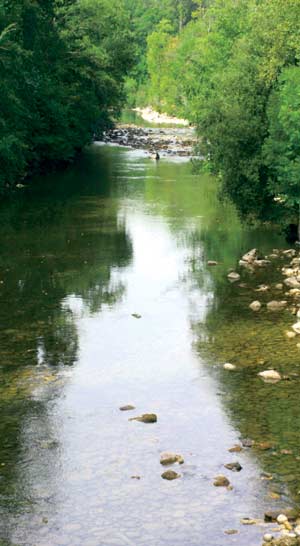 Vista del río Asón a su paso por el municipio.