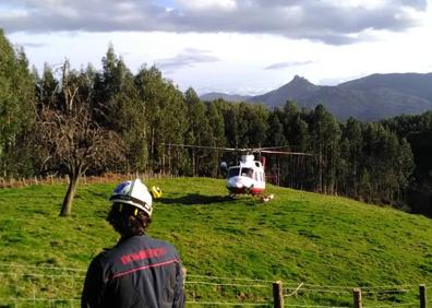 Imagen secundaria 1 - Un hombre herido grave tras sufrir un accidente con un tractor en Sámano