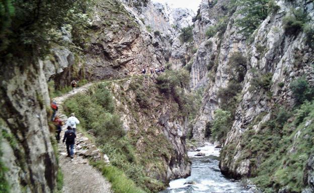 Ruta del Cares (Asturias). La ruta del Cares está localizada en los Picos de Europa y actualmente es una de las más espectaculares y conocidas de España. Una ruta que cuenta con un trayecto de algo más de 11 kilómetros (entre Caín y Poncebos) y que no es especialmente difícil de realizar. Las únicas dificultades son que si solo disponemos de un coche, el camino de ida y vuelta sumará 24 km y que esta ruta, tallada literalmente en la roca, transcurre entre dos grandes macizos por los que a veces pueden caer piedras y además es una de las más masificadas de Asturias.