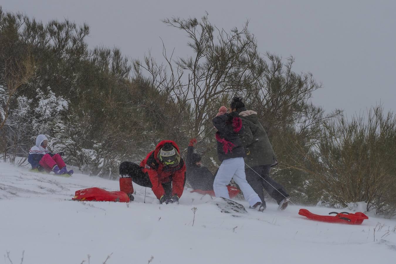 Fotos: Nieva en Cantabria