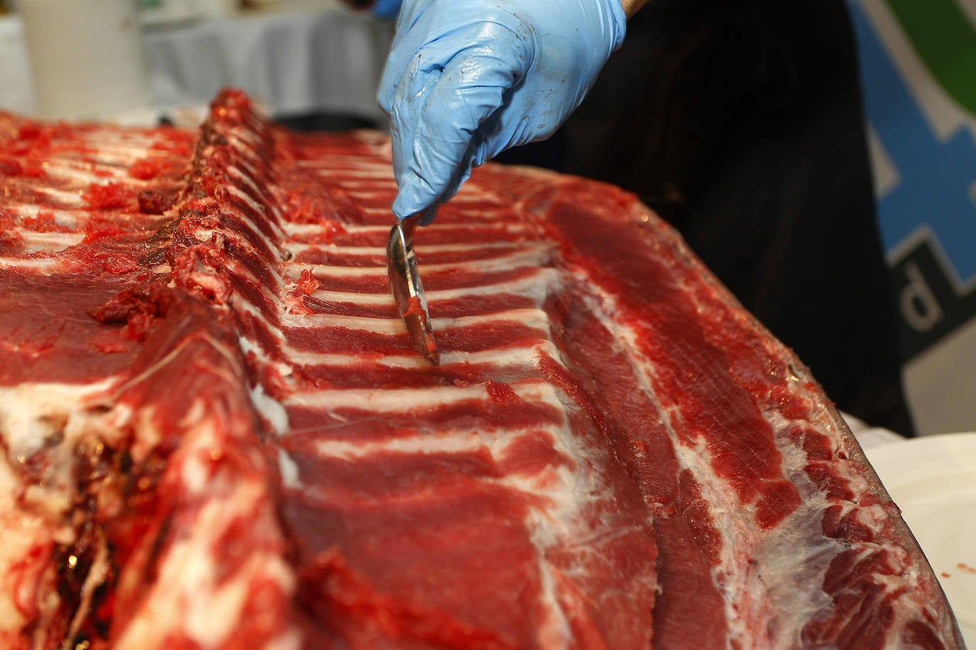 Con el tradicional ronqueo, o kaitai japonés del atún rojo de Balfegó (Tarragona), a cargo de Tajiri Nobuyuky, han comenzado en el restaurante La Dársena de Suances las jornadas dedicadas a este sabroso túnido, programadas hasta el próximo 2 de febrero