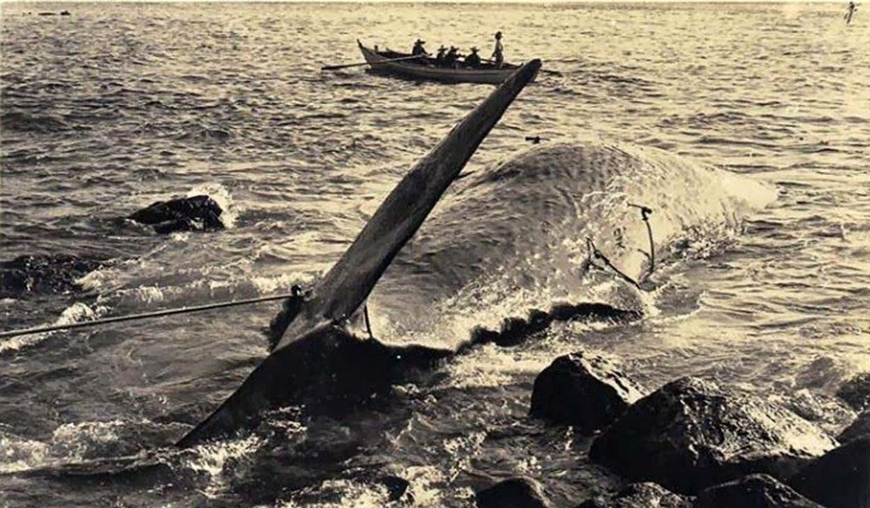 Pesca de ballenas en Las Azores. 