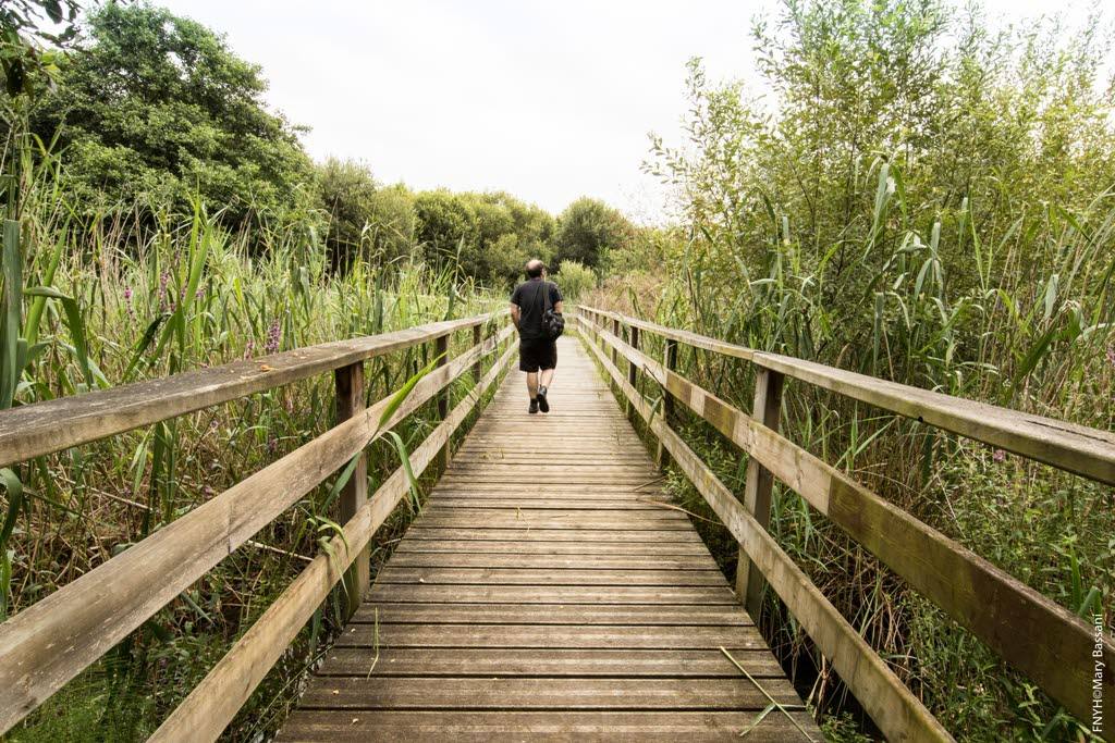 Vista de la marisma de Alday, primer destino del programa municipal de salidas.