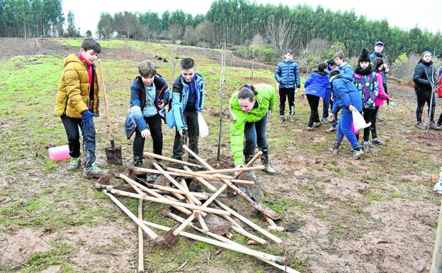 Los alumnos del Manuel Lledías tiraron de azada y pala para plantar los árboles en la Canal del Oso.