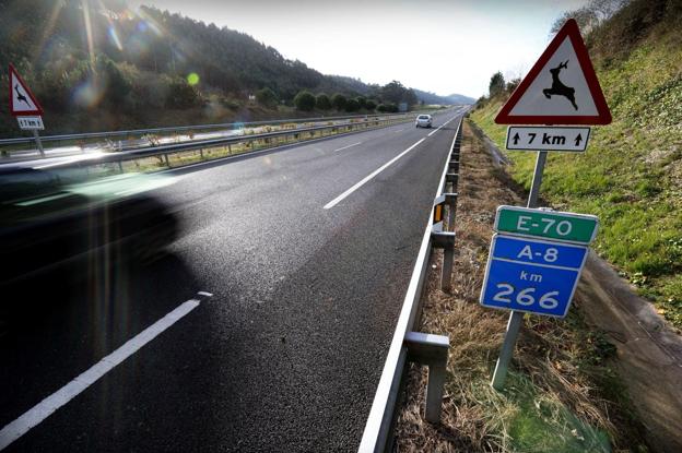 Tramo de la autovía A-8, a la altura de Val de San Vicente, uno de los puntos donde se producen más accidentes con animales en Cantabria.