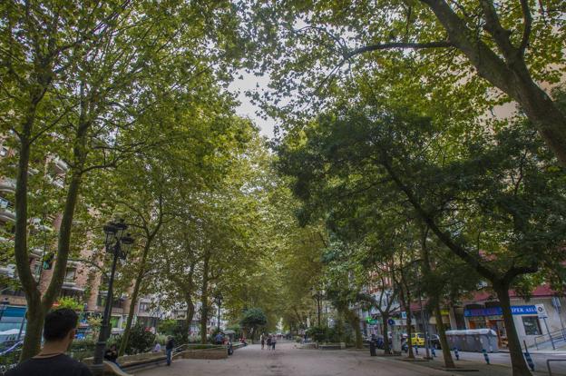 Lo mejor. El arbolado de la alameda, un lugar de reunión con parques para niños, los numerosos comercios y buenas comunicaciones.