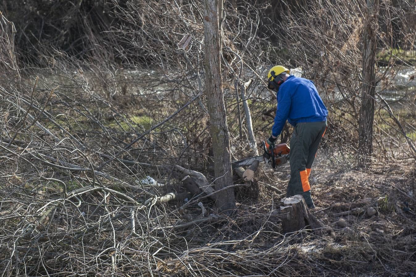 Comenzaron las obras de limpieza de los ríos Híjar y Ebro a su paso por las localidades de Reinosa y Matamorosa (Campoo de Enmedio) para evitar nuevas inundaciones como las del pasado mes de diciembre, cuando se produjo el desbordamiento de dichos ríos como consecuencia de las fuertes lluvias, anegando varias zonas urbanas, lo que provocó cuantiosos daños materiales.