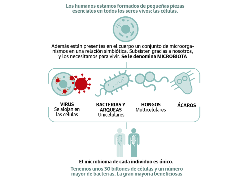 La microbiota