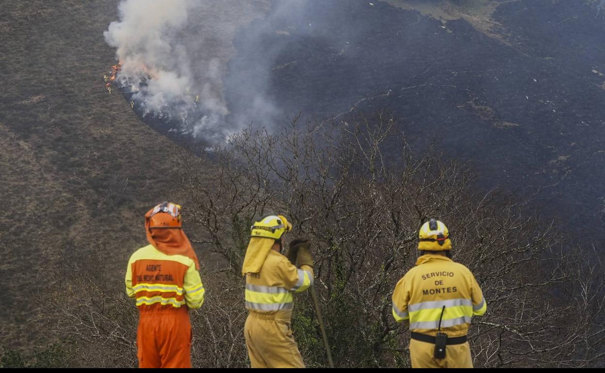 Agentes del Medio Natural y del servicio de Montes trabajan, ayer, en la extinción de un incendio localizado en Brañamayor, Villasuso.