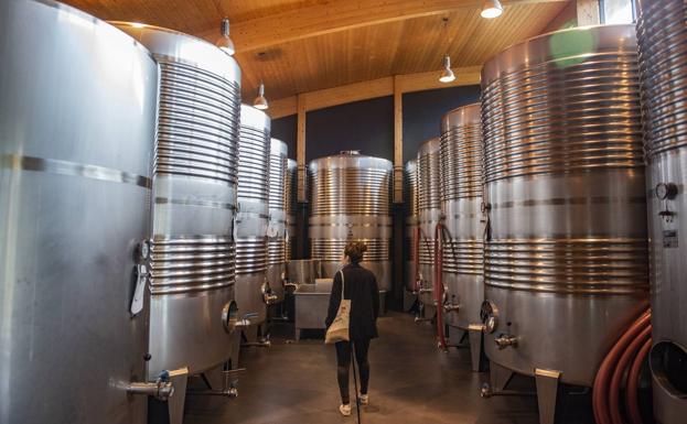 Imagen. Interior de las bodegas de Casona Micaela.