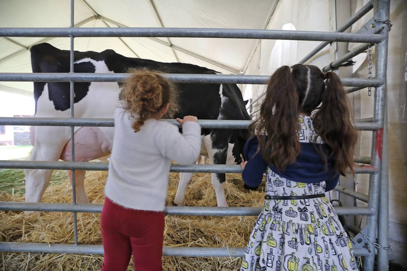 La Feria de la Leche de Trasierra ha ensalzado la labor de los ganaderos y un precio justo para la leche por cuarto año consecutivo, un evento con gran aceptación que se ha celebrado en este barrio del municipio de Ruiloba con motivo de la festividad de Santa Eulalia. 