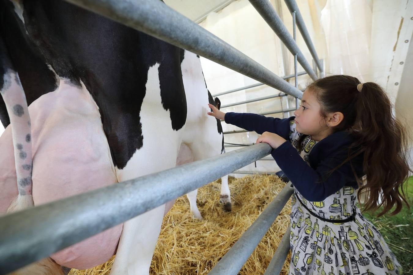 La Feria de la Leche de Trasierra ha ensalzado la labor de los ganaderos y un precio justo para la leche por cuarto año consecutivo, un evento con gran aceptación que se ha celebrado en este barrio del municipio de Ruiloba con motivo de la festividad de Santa Eulalia. 