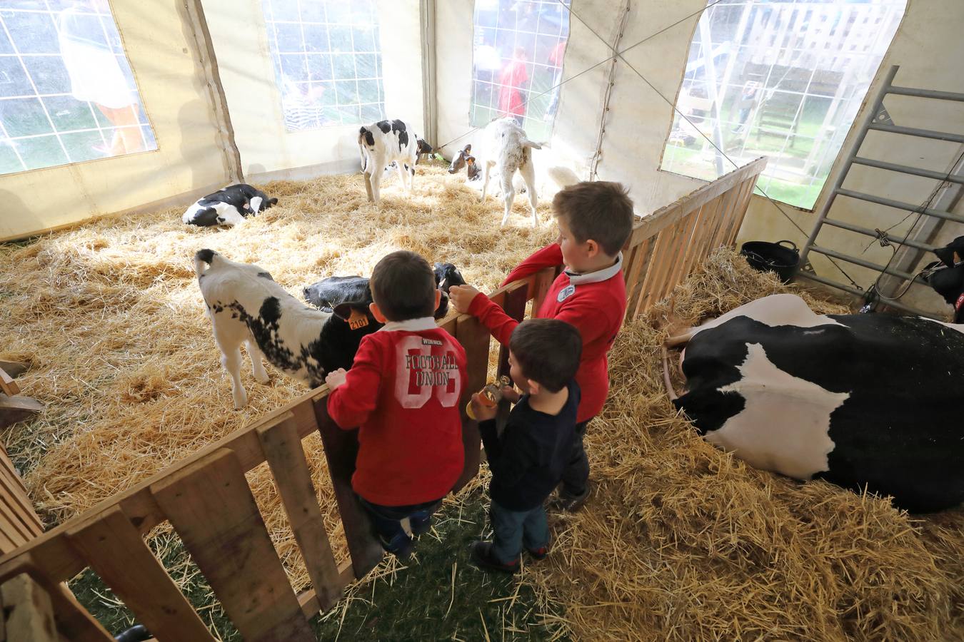 La Feria de la Leche de Trasierra ha ensalzado la labor de los ganaderos y un precio justo para la leche por cuarto año consecutivo, un evento con gran aceptación que se ha celebrado en este barrio del municipio de Ruiloba con motivo de la festividad de Santa Eulalia. 