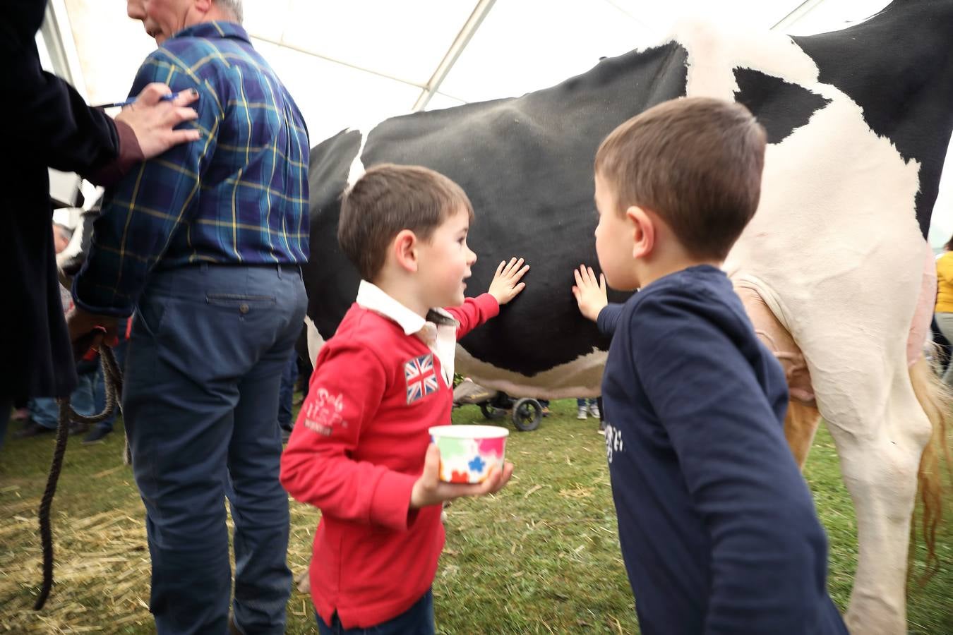 La Feria de la Leche de Trasierra ha ensalzado la labor de los ganaderos y un precio justo para la leche por cuarto año consecutivo, un evento con gran aceptación que se ha celebrado en este barrio del municipio de Ruiloba con motivo de la festividad de Santa Eulalia. 